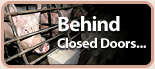 Behind Closed Doors...