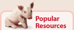 Popular Resources