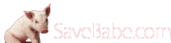 SaveBabe.com